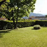 Quadrifoglio *