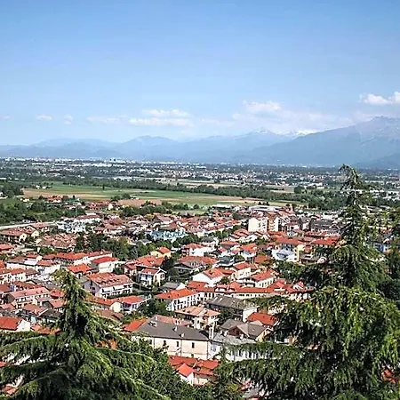 Quadrifoglio *